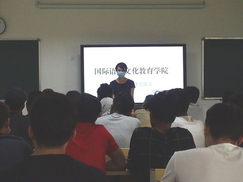 跨越語言界限，共筑文化橋梁——國際語言文化教育學院召開國際學生見面會