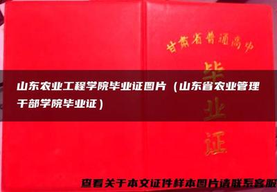 山東農(nóng)業(yè)工程學院畢業(yè)證 見證轉型與成長的文化符號